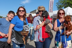 Bluebonnet Festival