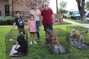 MARKET DAY ON MAIN STREET