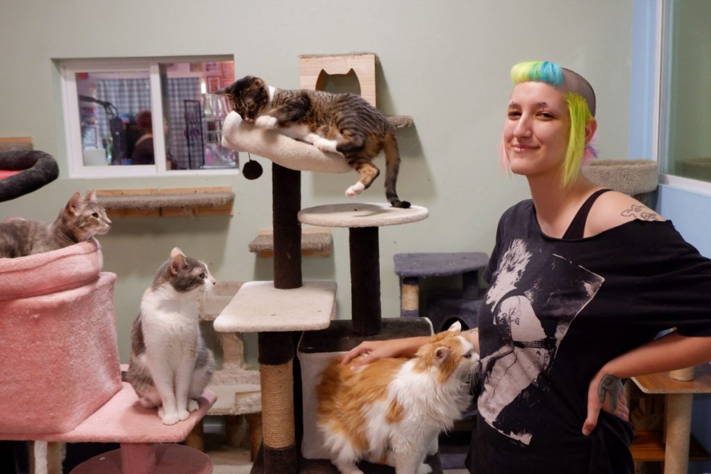 Dumpster, Marge, an unidentified cat, and Hilda pose for a photo with Johny Stinks, owner of Fat Manx.